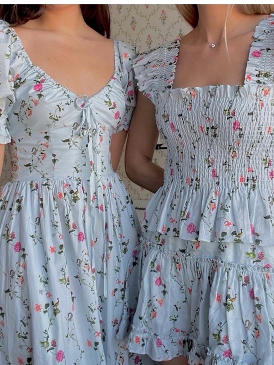 Hill House Dresses & Skirts - Hill House Ophelia dress in Pond Floral